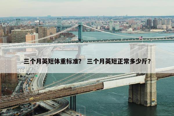三个月英短体重标准？ 三个月英短正常多少斤？