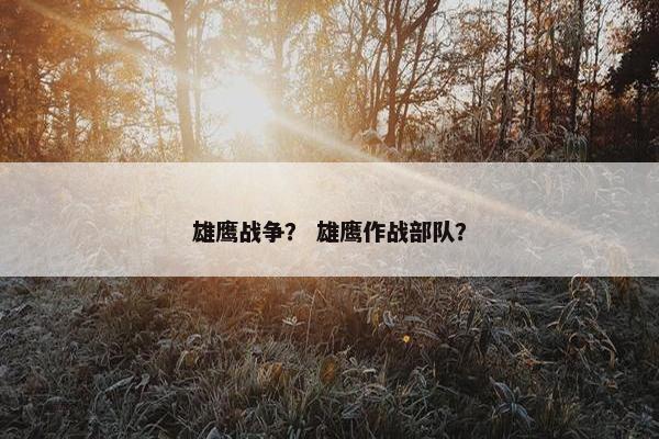 雄鹰战争？ 雄鹰作战部队？