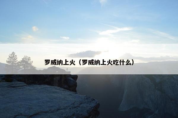 罗威纳上火（罗威纳上火吃什么）