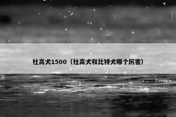 杜高犬1500（杜高犬和比特犬哪个厉害）