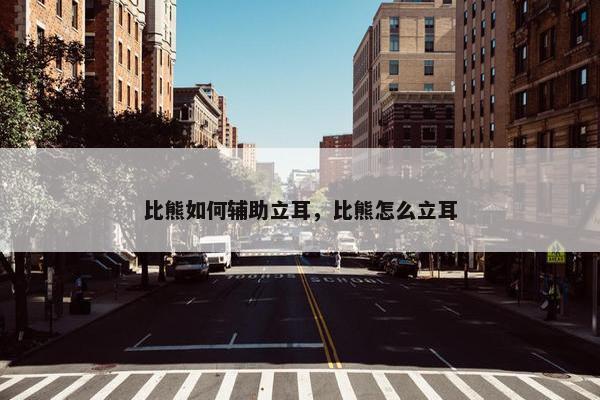 比熊如何辅助立耳，比熊怎么立耳