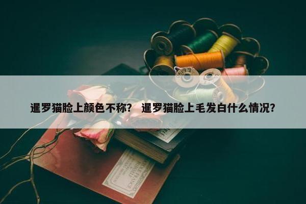暹罗猫脸上颜色不称？ 暹罗猫脸上毛发白什么情况？