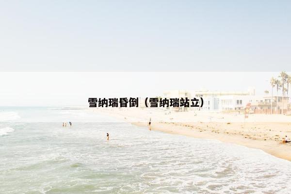 雪纳瑞昏倒（雪纳瑞站立）