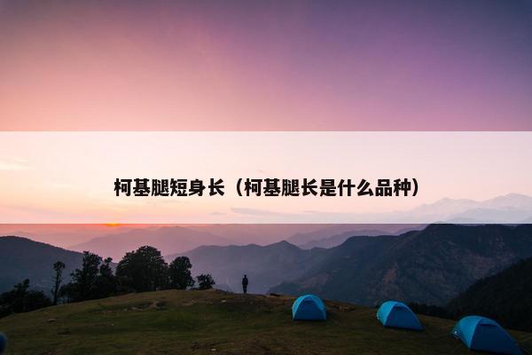 柯基腿短身长（柯基腿长是什么品种）