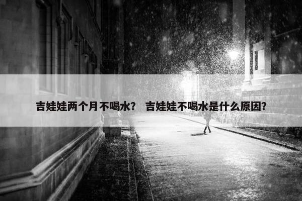 吉娃娃两个月不喝水？ 吉娃娃不喝水是什么原因？