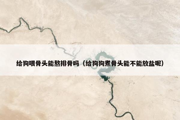 给狗喂骨头能熬排骨吗（给狗狗煮骨头能不能放盐呢）