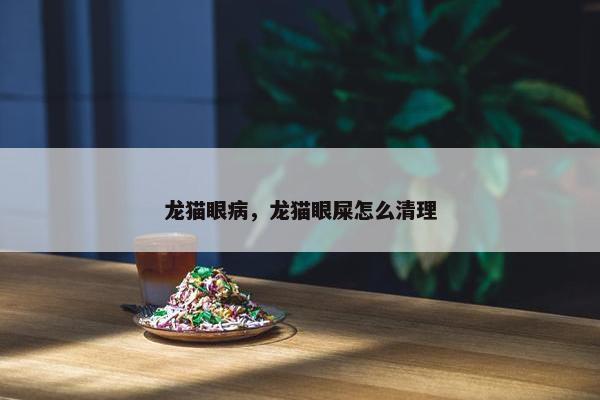 龙猫眼病，龙猫眼屎怎么清理