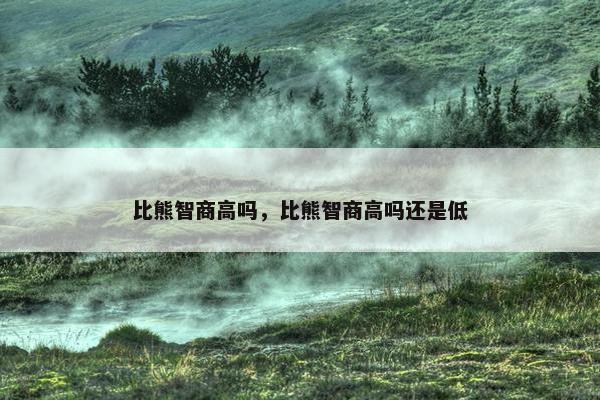 比熊智商高吗，比熊智商高吗还是低