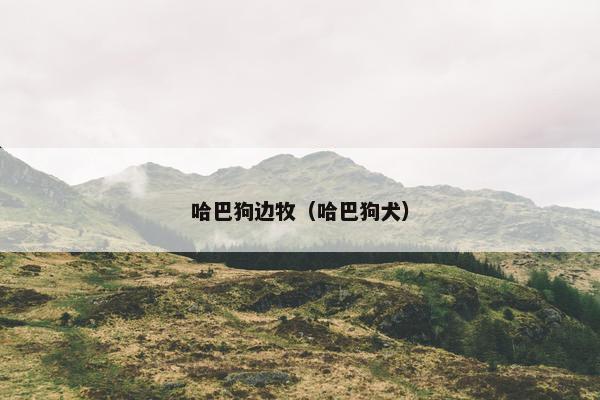 哈巴狗边牧（哈巴狗犬）