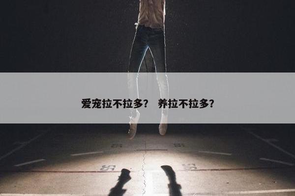 爱宠拉不拉多？ 养拉不拉多？