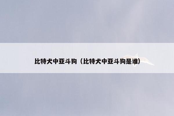 比特犬中亚斗狗（比特犬中亚斗狗是谁）