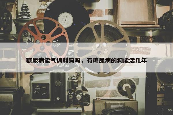 糖尿病能气训利狗吗，有糖尿病的狗能活几年