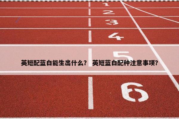 英短配蓝白能生出什么？ 英短蓝白配种注意事项？