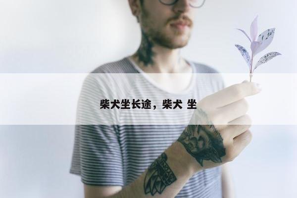 柴犬坐长途，柴犬 坐