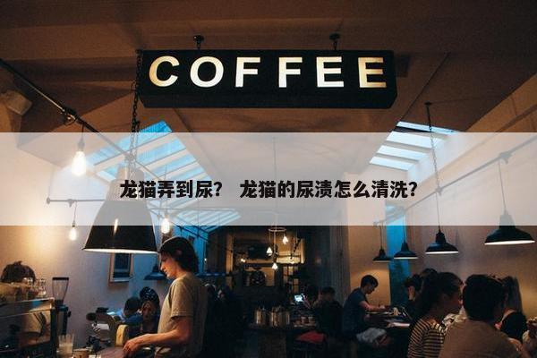 龙猫弄到尿？ 龙猫的尿渍怎么清洗？
