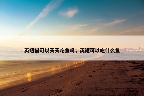 英短猫可以天天吃鱼吗，英短可以吃什么鱼