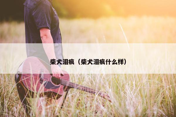 柴犬泪痕（柴犬泪痕什么样）