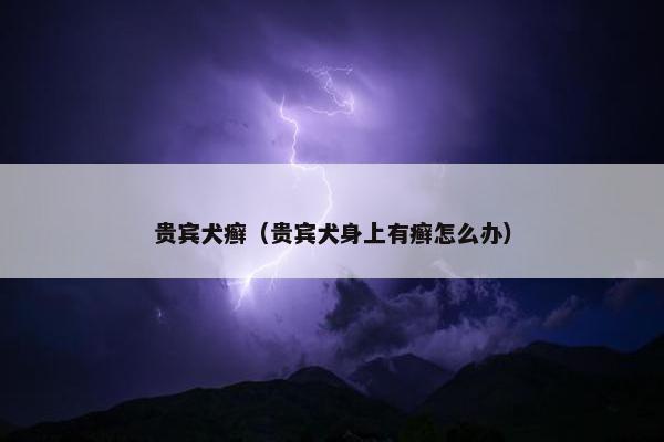 贵宾犬癣（贵宾犬身上有癣怎么办）