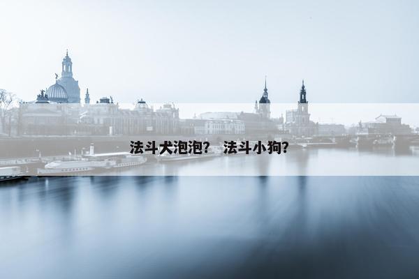 法斗犬泡泡？ 法斗小狗？