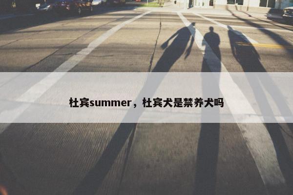 杜宾summer，杜宾犬是禁养犬吗