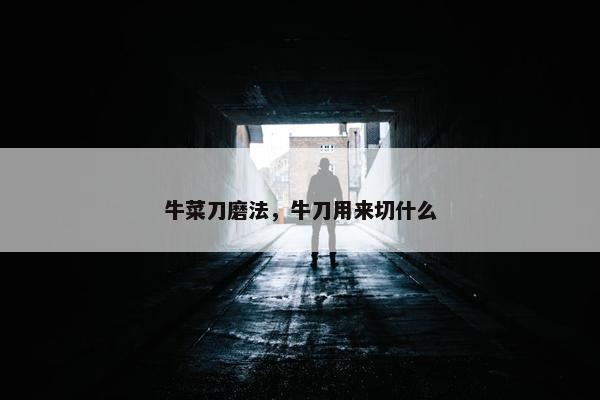 牛菜刀磨法，牛刀用来切什么