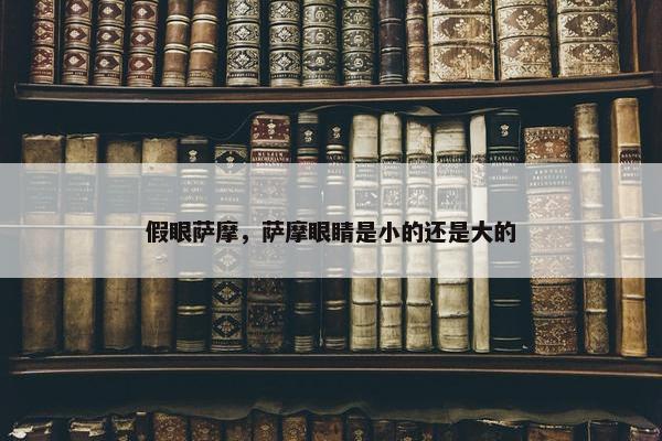 假眼萨摩，萨摩眼睛是小的还是大的