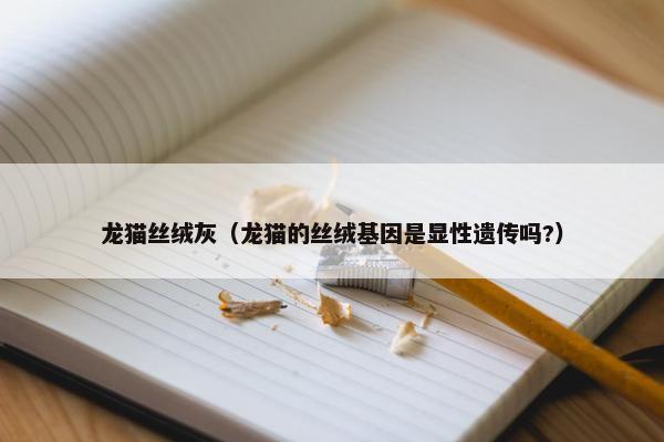 龙猫丝绒灰（龙猫的丝绒基因是显性遗传吗?）