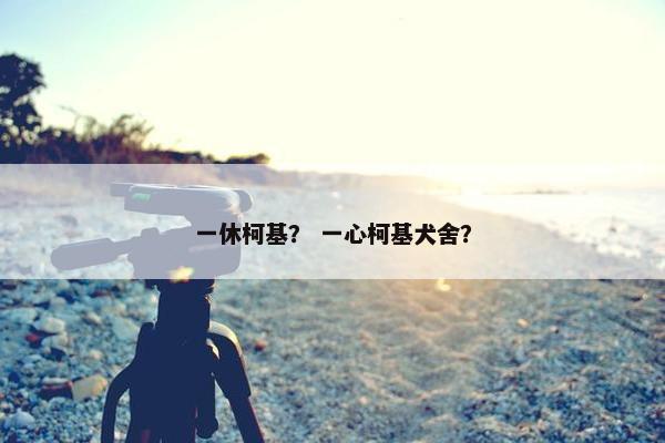 一休柯基？ 一心柯基犬舍？