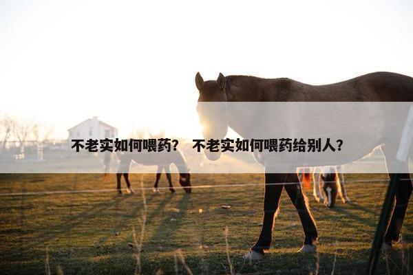 不老实如何喂药？ 不老实如何喂药给别人？