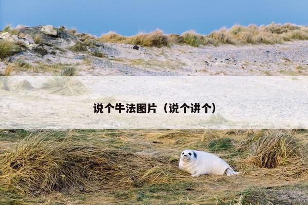 说个牛法图片（说个讲个）