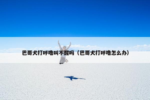 巴哥犬打呼噜叫不醒吗（巴哥犬打呼噜怎么办）