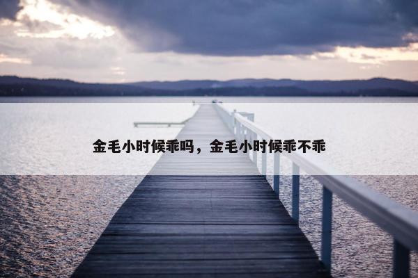 金毛小时候乖吗，金毛小时候乖不乖
