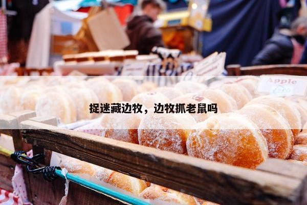 捉迷藏边牧，边牧抓老鼠吗