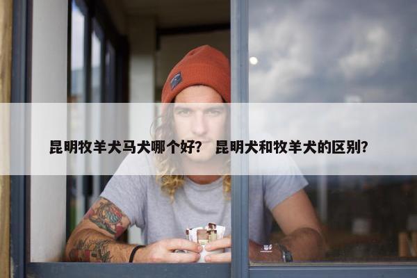 昆明牧羊犬马犬哪个好？ 昆明犬和牧羊犬的区别？