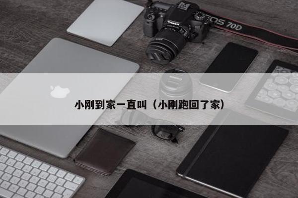 小刚到家一直叫（小刚跑回了家）