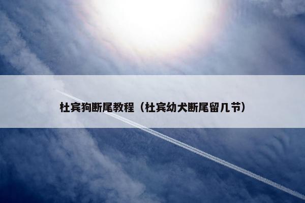 杜宾狗断尾教程（杜宾幼犬断尾留几节）
