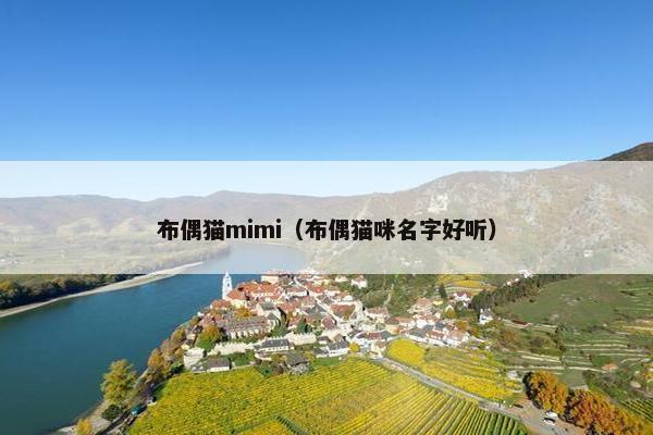 布偶猫mimi（布偶猫咪名字好听）