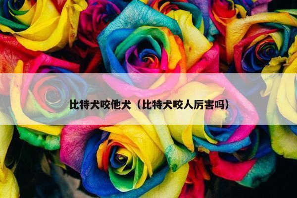 比特犬咬他犬（比特犬咬人厉害吗）
