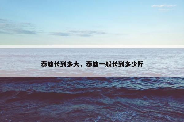 泰迪长到多大，泰迪一般长到多少斤