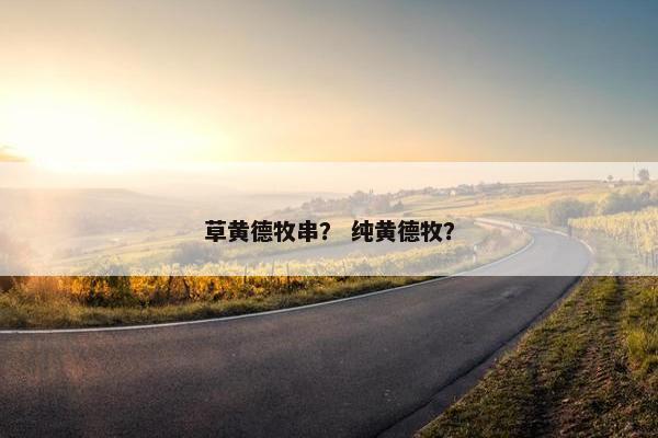 草黄德牧串？ 纯黄德牧？