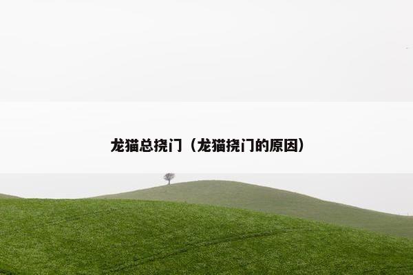 龙猫总挠门（龙猫挠门的原因）