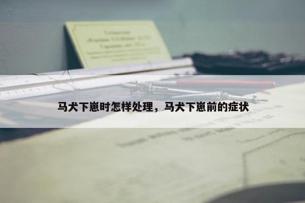 马犬下崽时怎样处理，马犬下崽前的症状