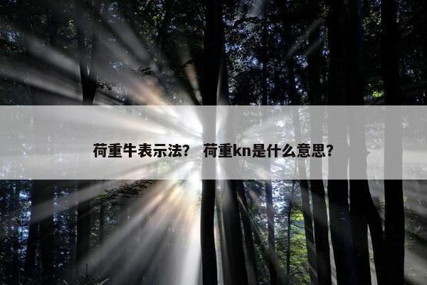 荷重牛表示法？ 荷重kn是什么意思？