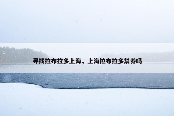 寻找拉布拉多上海，上海拉布拉多禁养吗
