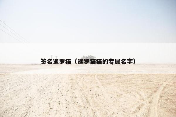 签名暹罗猫（暹罗猫猫的专属名字）