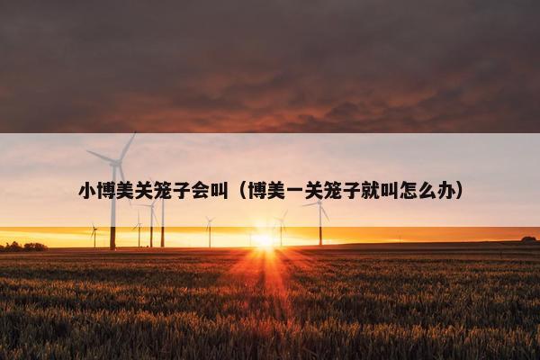小博美关笼子会叫（博美一关笼子就叫怎么办）