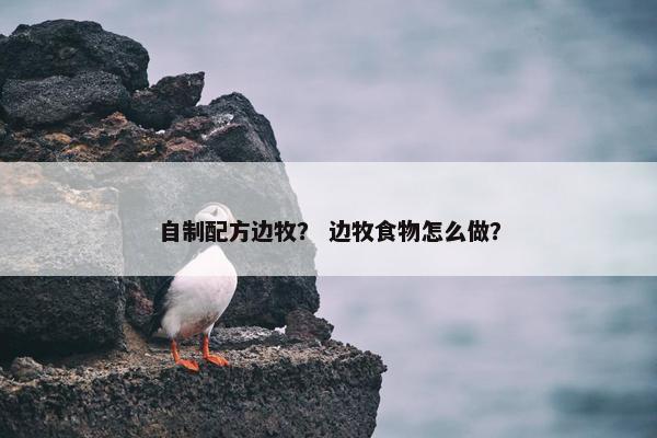 自制配方边牧？ 边牧食物怎么做？