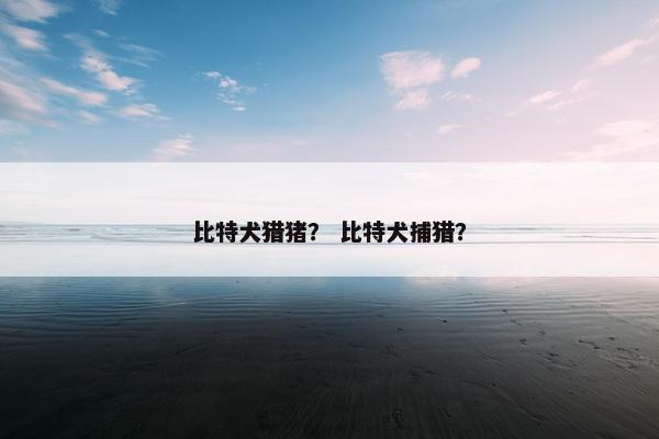 比特犬猎猪？ 比特犬捕猎？