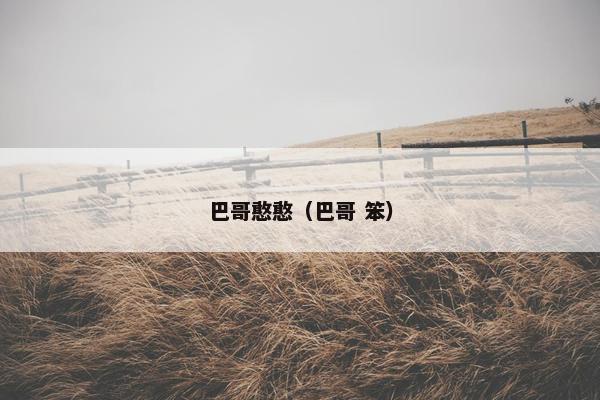 巴哥憨憨（巴哥 笨）