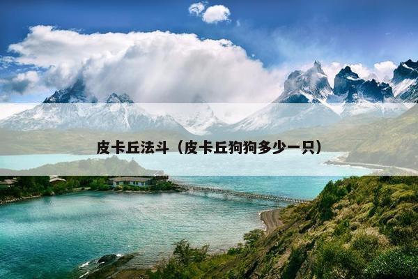 皮卡丘法斗（皮卡丘狗狗多少一只）